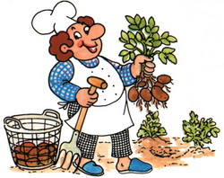 Zurück zur Startseite